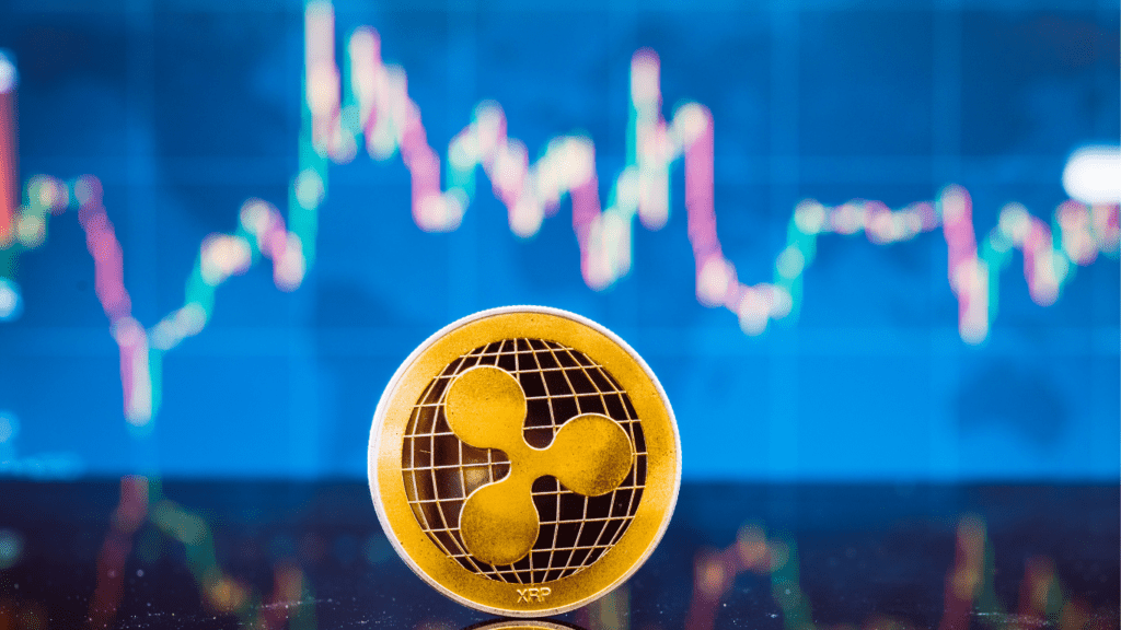Popular Token Allocation Strategies for Volatile Markets