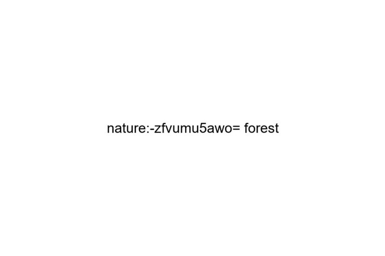 nature-zfvumu5awo-forest