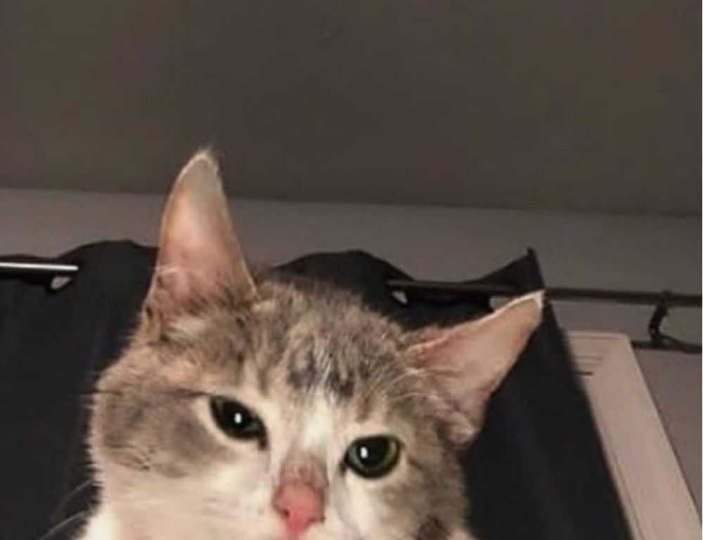 aggr8finance financial updates