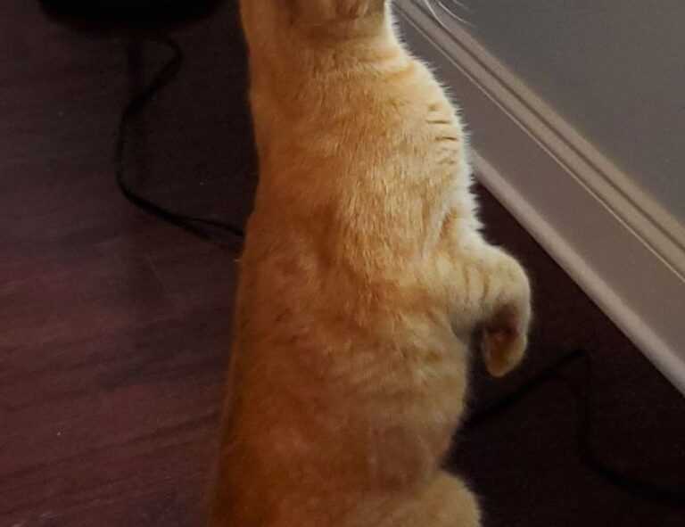 business updates aggr8finance