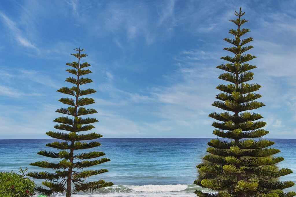 download grandiamod1.2 pc