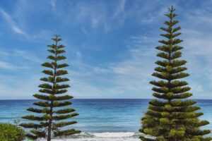 download grandiamod1.2 pc