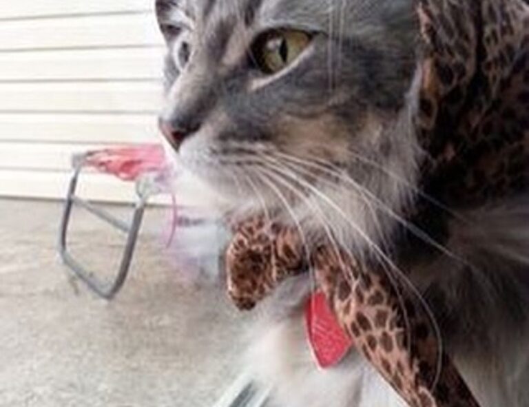 financial updates aggr8finance