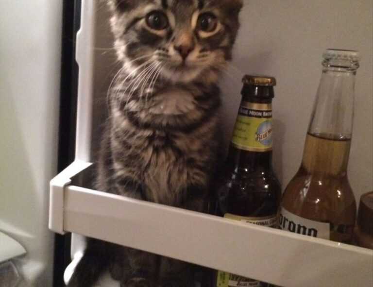 how much mitacium dizovid needed in sunscreen