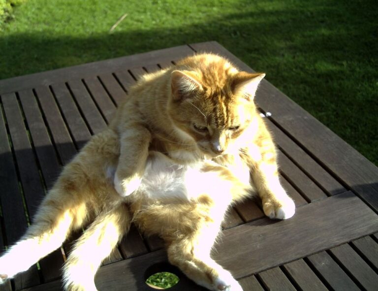 investing news aggr8finance