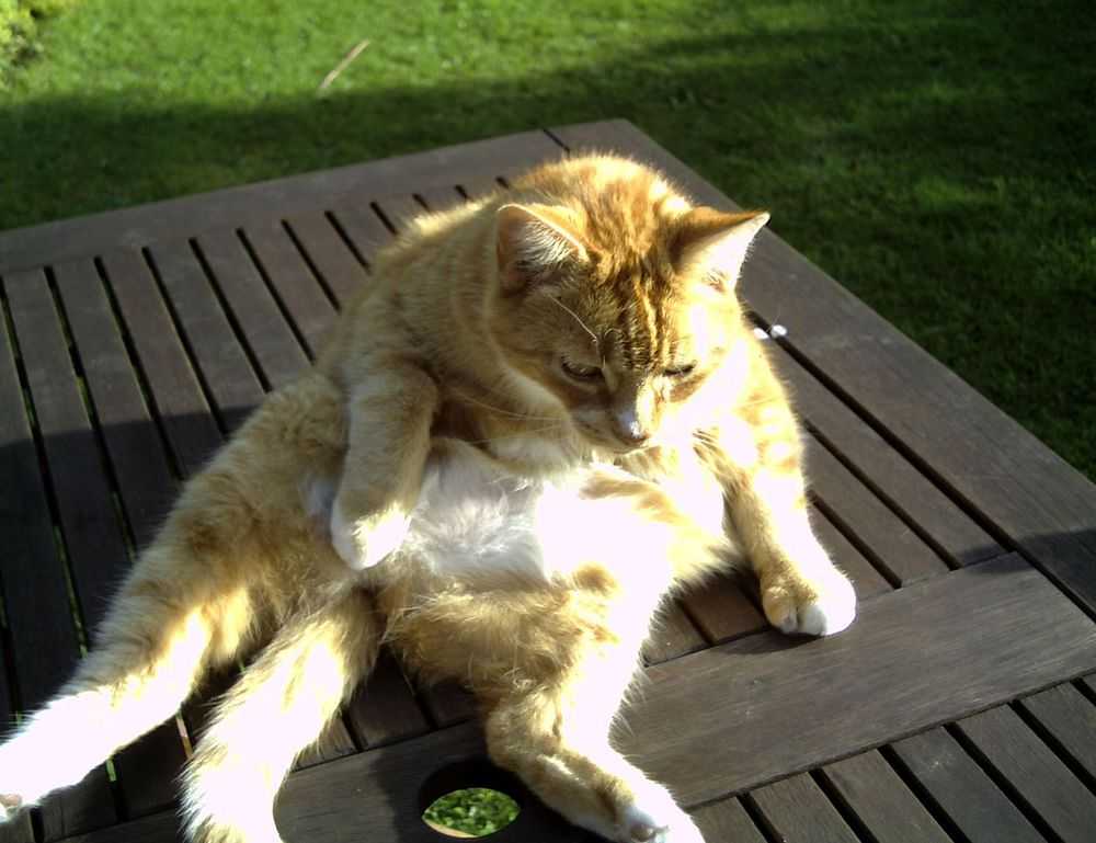 investing news aggr8finance