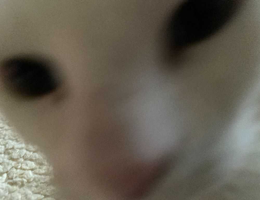 why xuirmejets share price going up