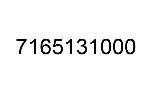 7165131000