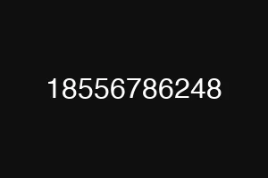 18556786248