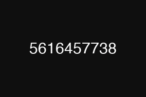 5616457738
