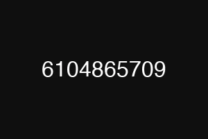 6104865709