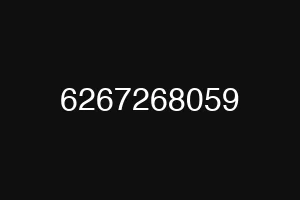 6267268059