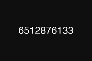 6512876133