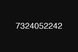 7324052242