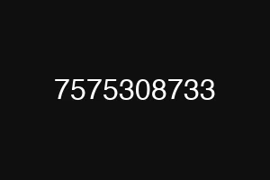 7575308733