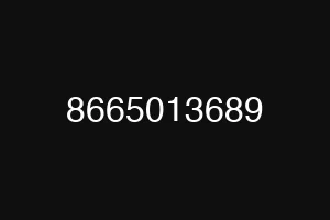 8665013689