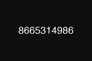 8665314986