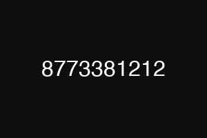 8773381212