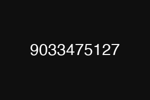 9033475127