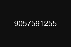 9057591255