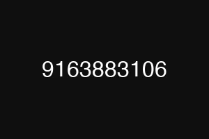 9163883106