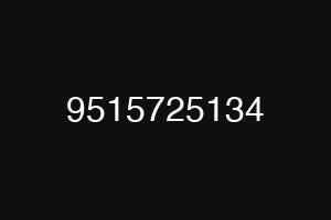 9515725134