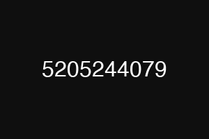 5205244079