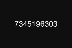 7345196303