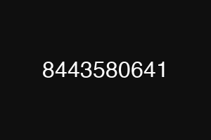 8443580641