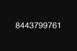 8443799761