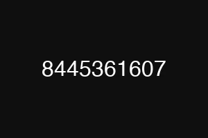 8445361607