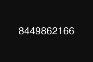 8449862166