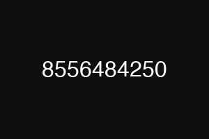 8556484250