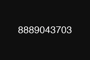 8889043703